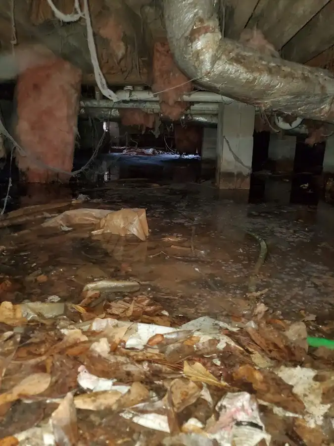 Crawl space flood assessment for Commercial Water Damage Restoration in Wood River