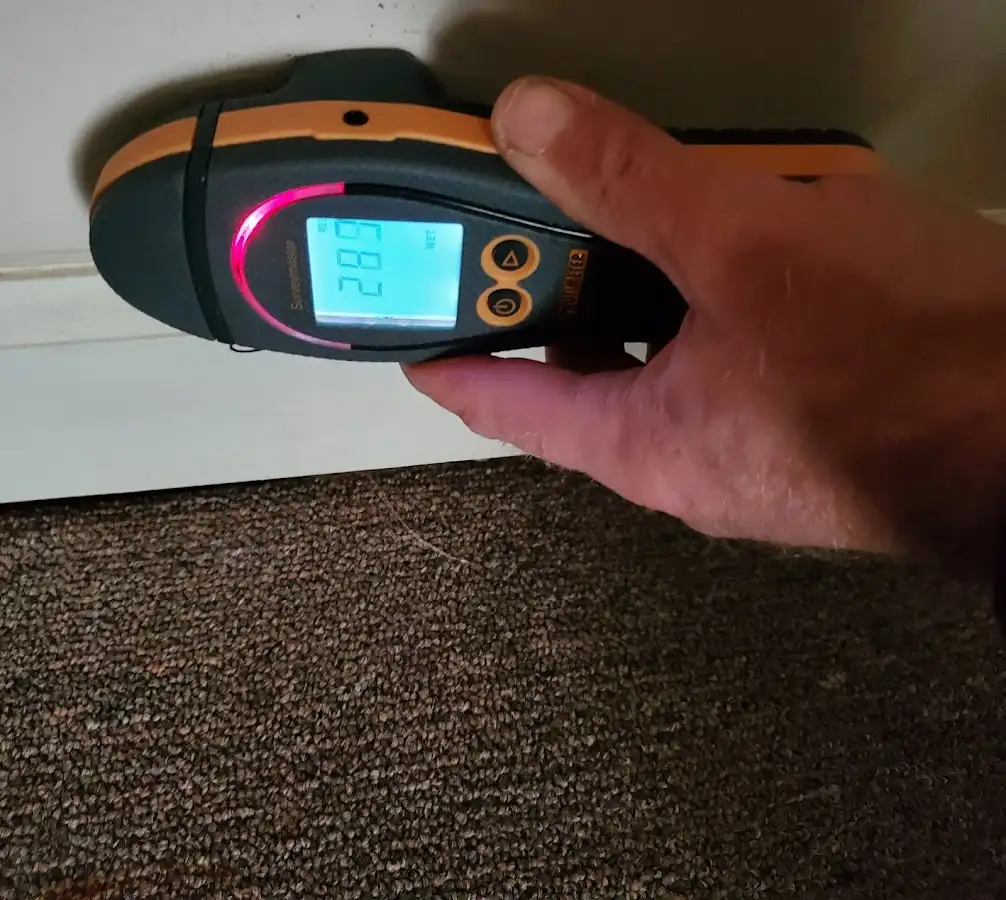 Moisture detection at baseboard during Sewage Cleanup & Sanitation in Wood River